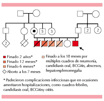 figura 1