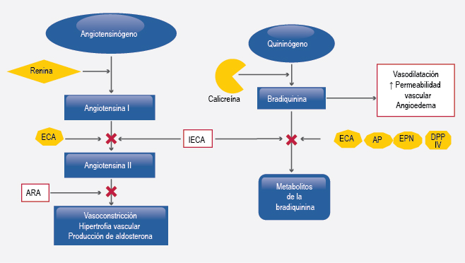 figura 3