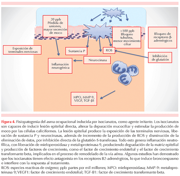 figura 2