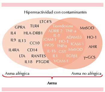 figura 4