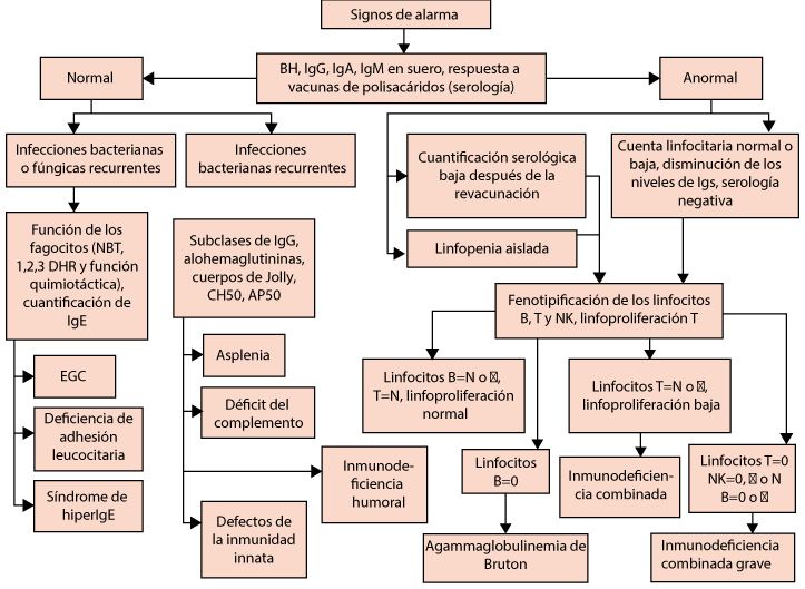 figura 1