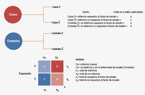 figura 5